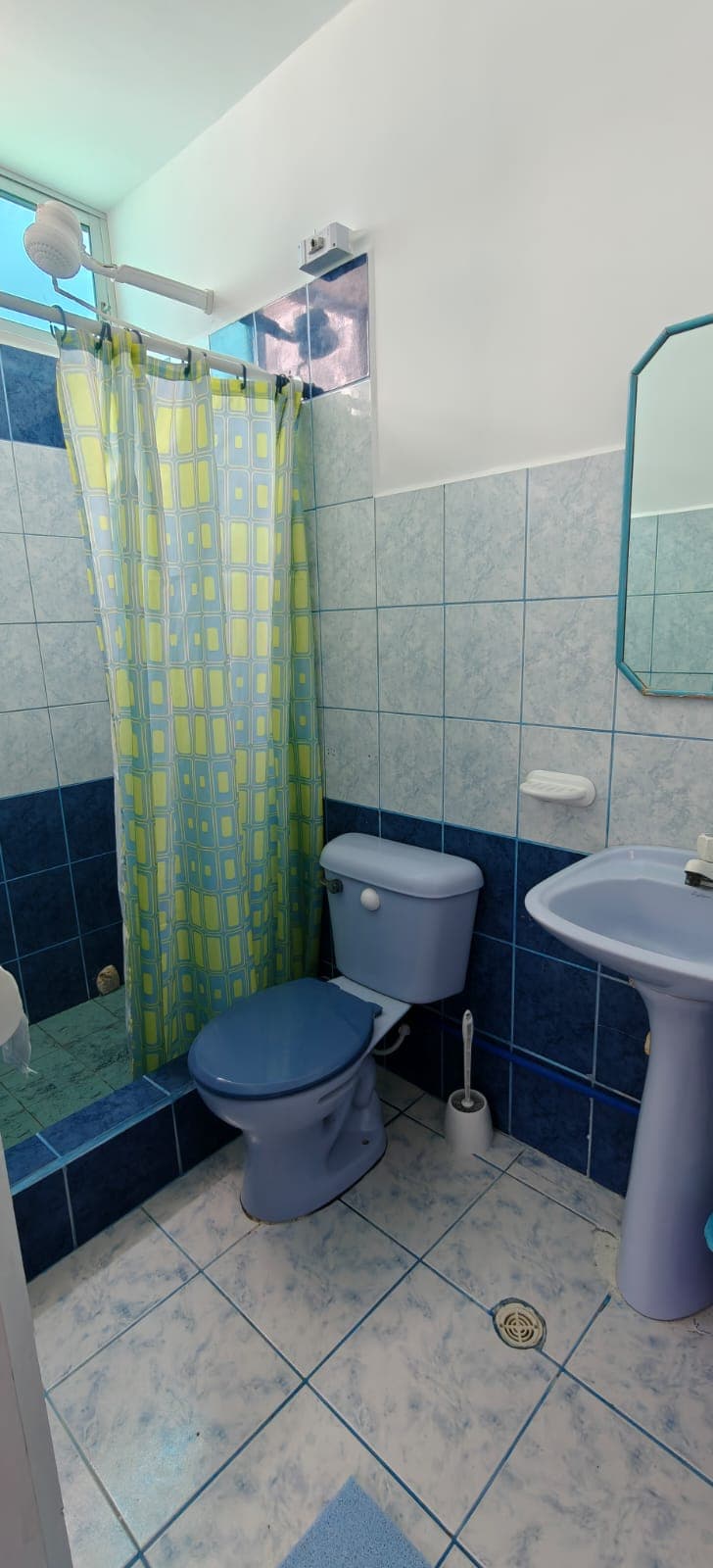 Private bathroom with shower, toilet and washbasin