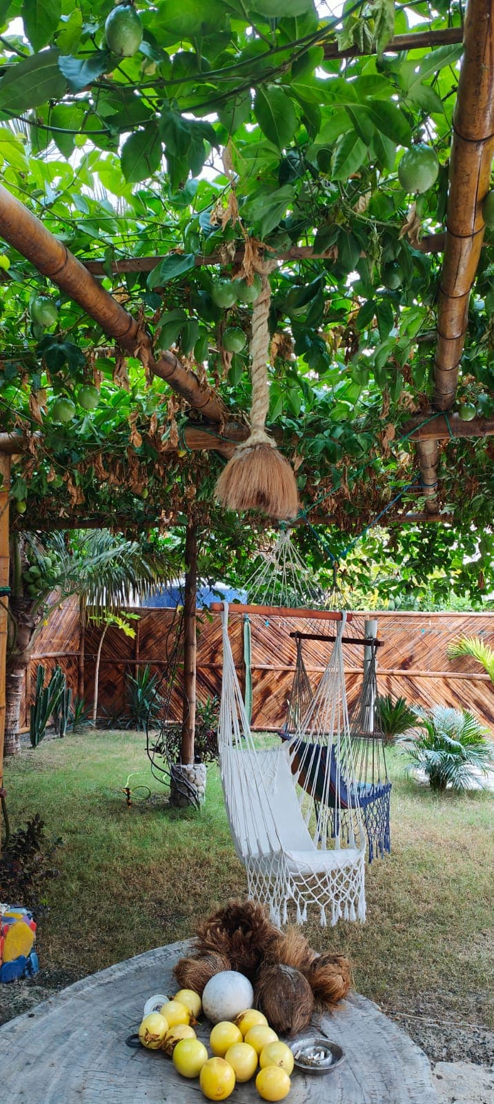 Garden with a hanging chair under a vine-covered pergola