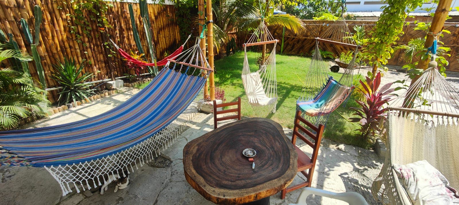 Garden with hammocks and a wooden table at Hostal Cruzita