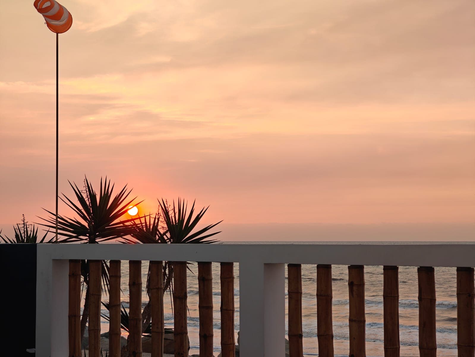 Windsock and palms on the hostel terrace at sunset