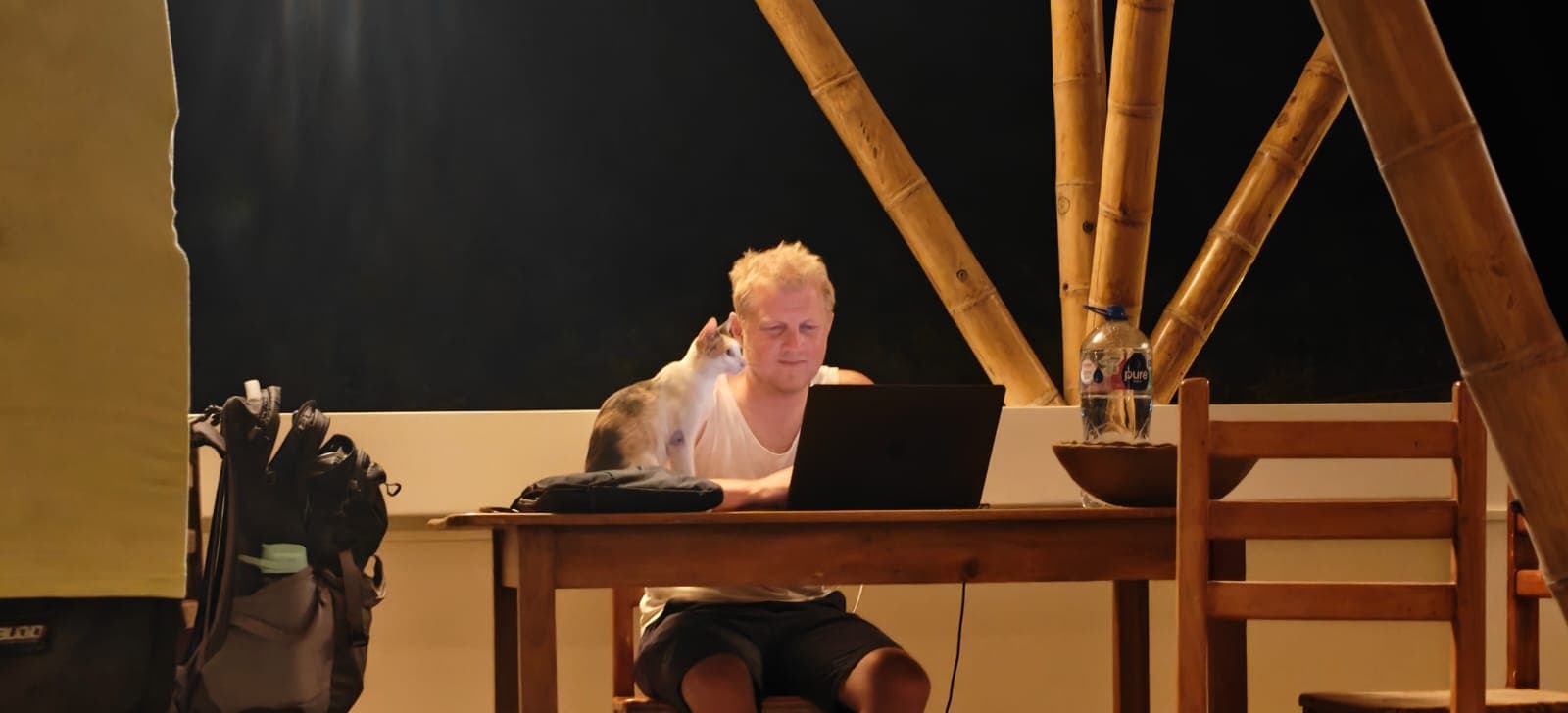 Guest working on a laptop on the rooftop terrace at night, with a cat